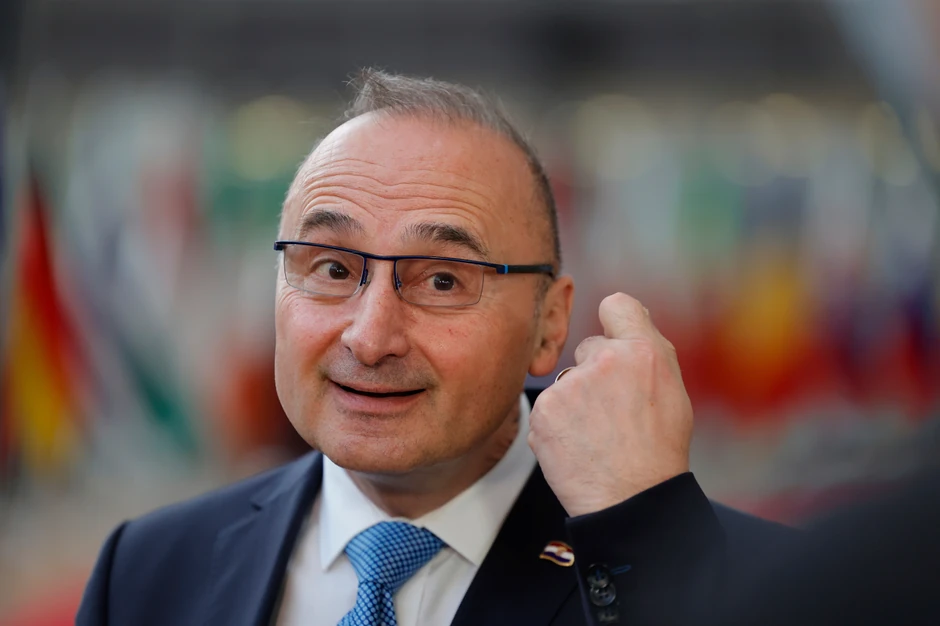 Gordan Grlić Radman