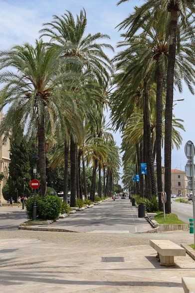 Palma de Mallorca