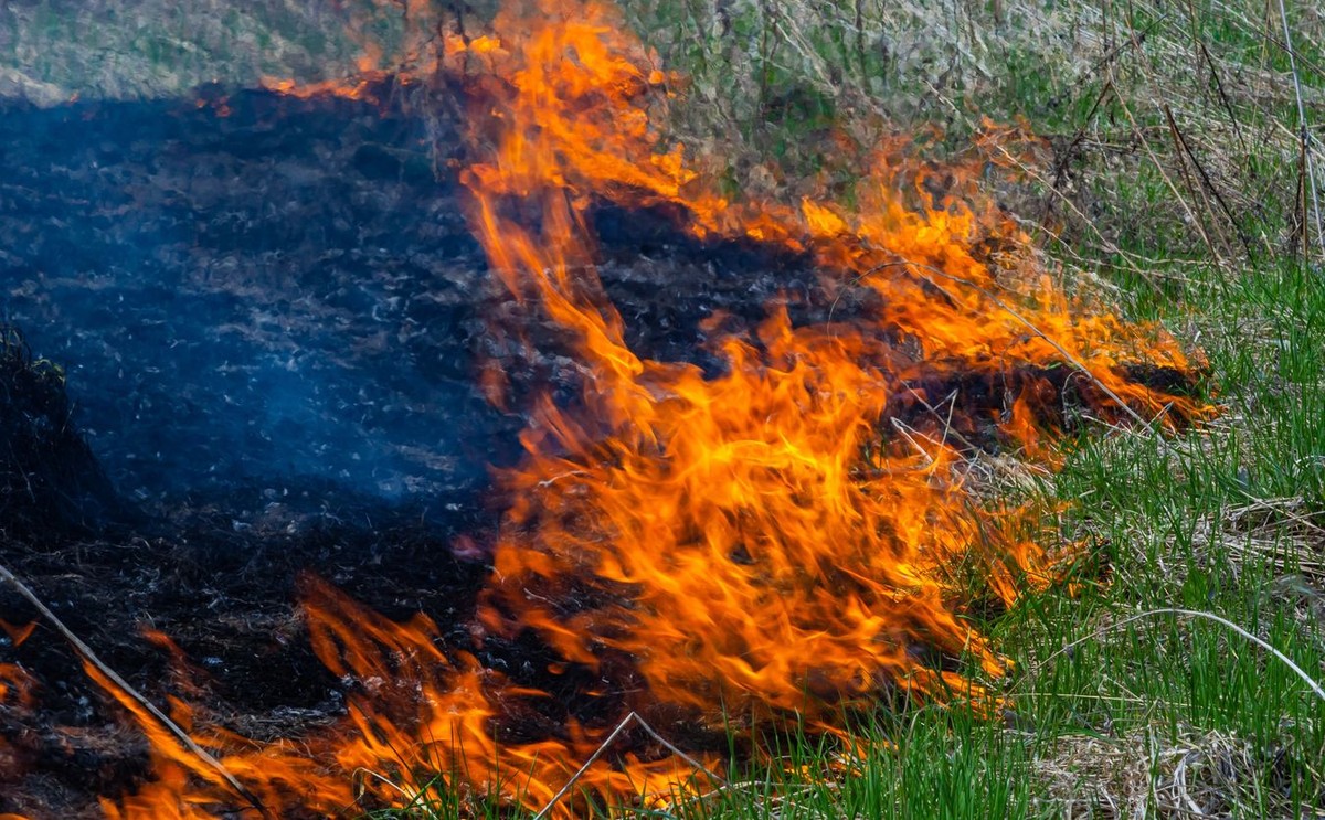 podpalona trawa