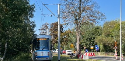 Wrocław stawia na zielone torowiska