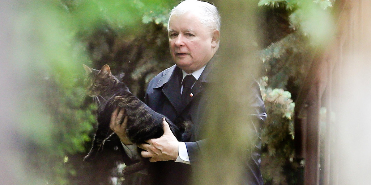 Jarosław Kaczyński lubi koty