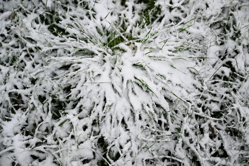 Śnieg w Przemyślu