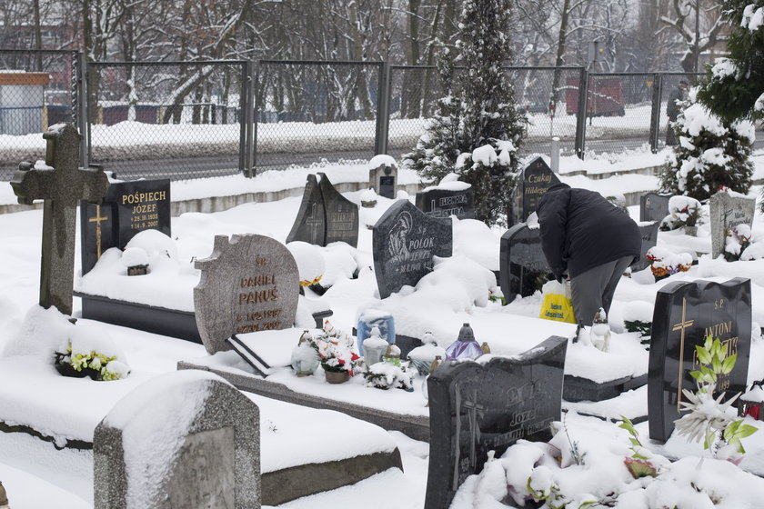 Cmentarze z Rudy Śląskiej w internecie
