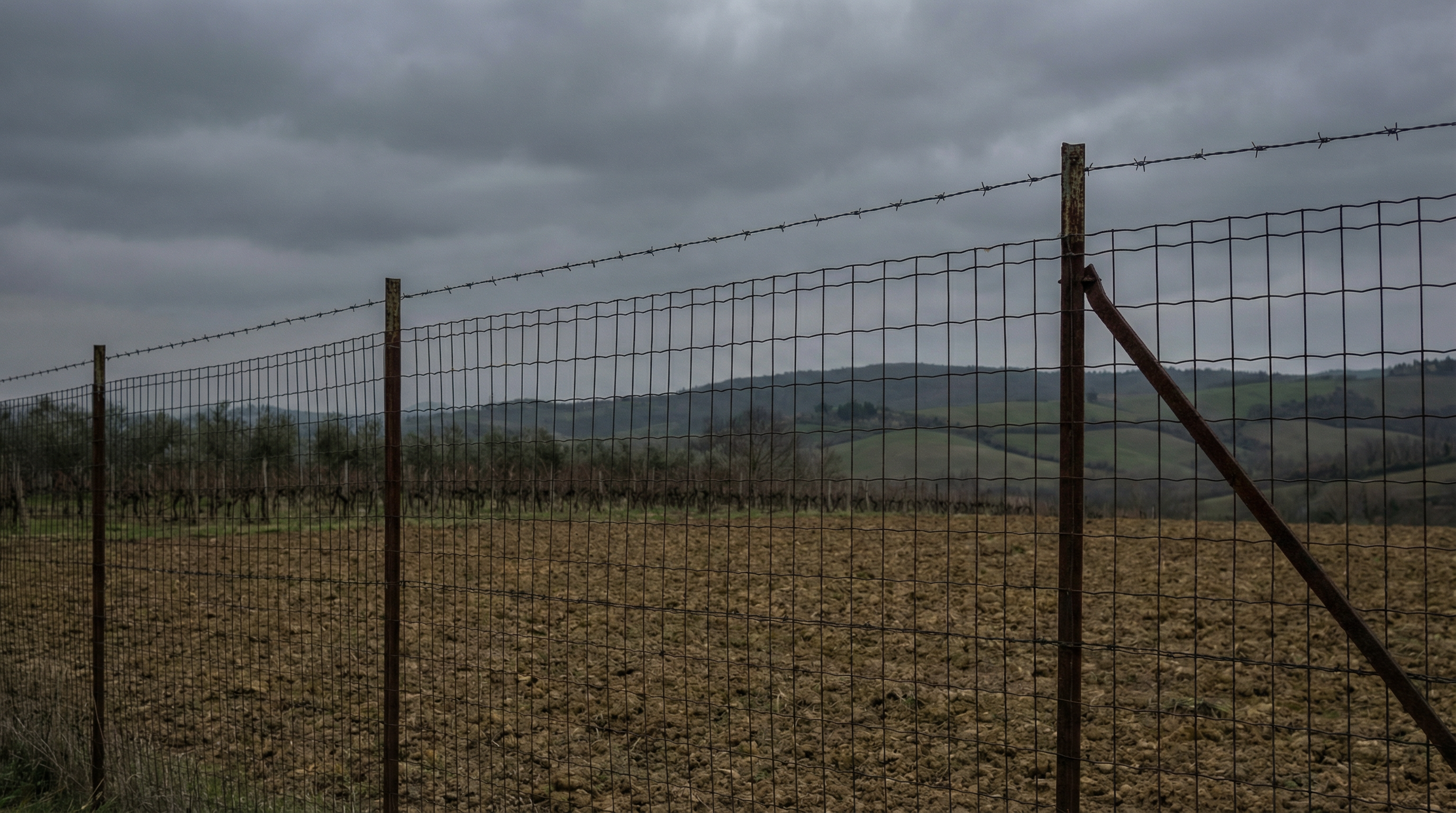 Ladro muore dissanguato su recinzione anti-cinghiali durante fuga da furto
