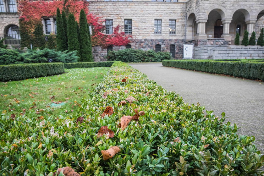 Będą zmiany na placu Wiosny Ludów