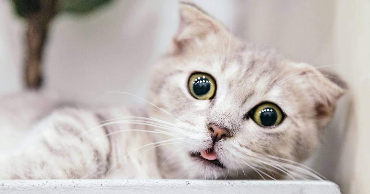 Zgadniesz 10 razy? Sprawdź się w quizie wiedzy ogólnej