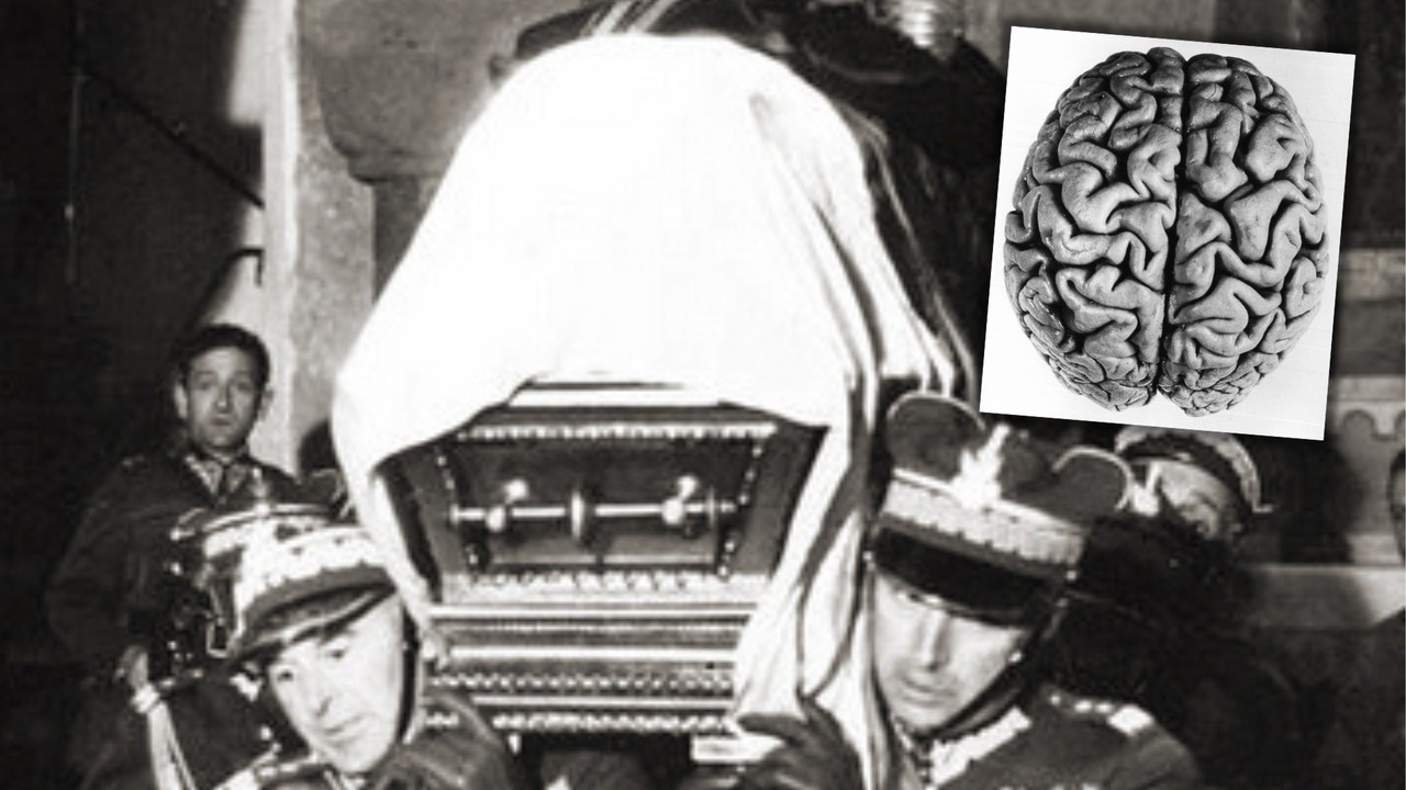 Ten organ Józef Piłsudski oddał nauce. Lekarz pokroił go na plasterki