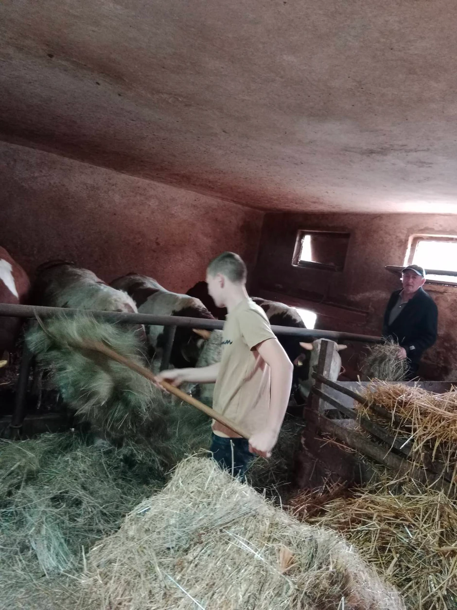 Gazdinstvo Jovanović