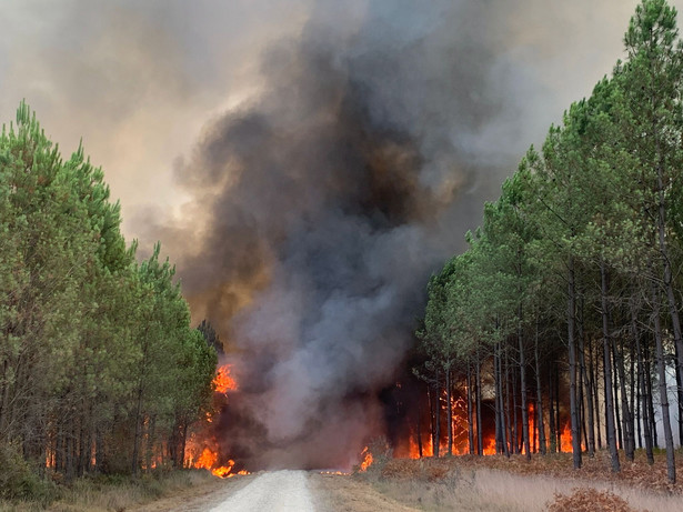 Pożar lasu w Saint Magne, w regionie Gironde w południowo-zachodniej Francji, 9 sierpnia 2022 r.