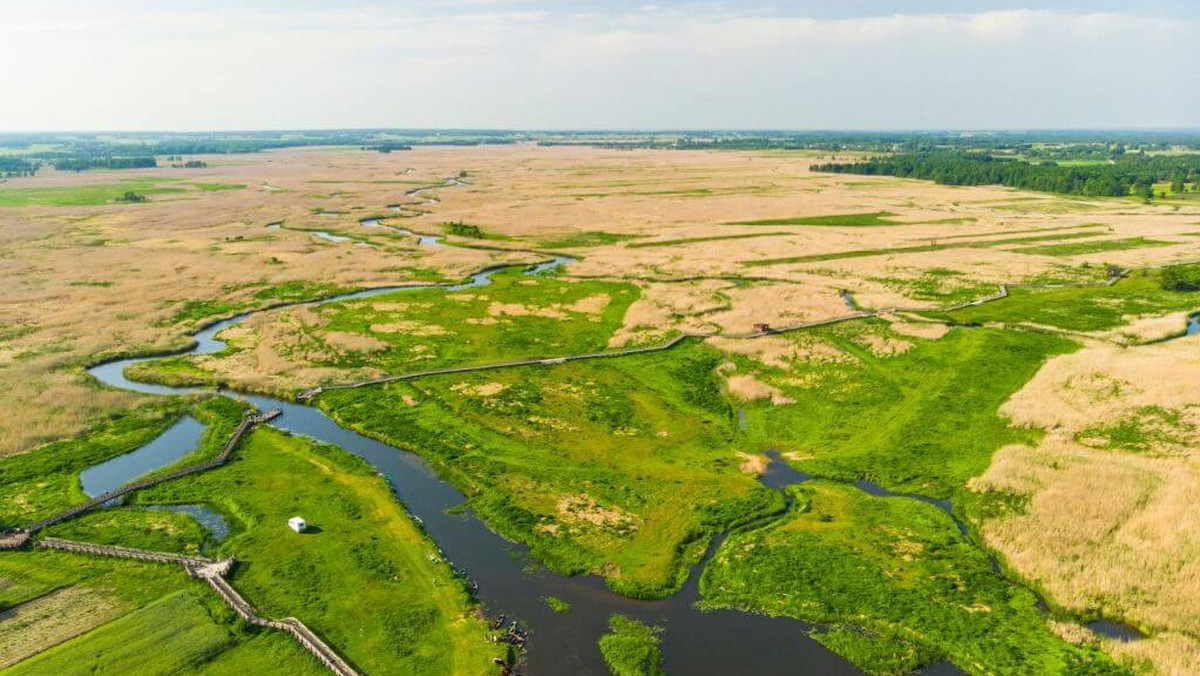 <strong>PGE nawiązała współpracę z Magurskim Parkiem Narodowym oraz Narwiańskim Parkiem Narodowym. W ramach wspólnych działań w 2023 roku zostaną zrealizowane m.in. projekty edukacyjne, inicjatywy z zakresu czynnej ochrony przyrody oraz badania naukowe. Realizacja projektów jest możliwa dzięki finansowemu wsparciu Fundacji PGE.</strong>