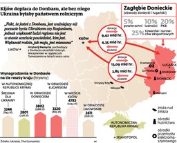 "Farsa pod lufami czołgów i karabinów". Świat nie uzna wyborów w Donbasie