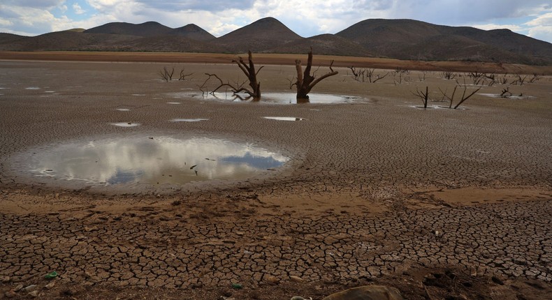 Mexico is experiencing its most widespread drought in over a decade.Jose Luis Gonzalez/Reuters