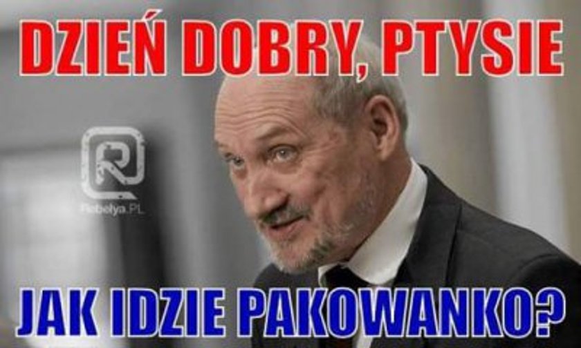 Internauci komentują skład rządu. Najśmieszniejsze memy