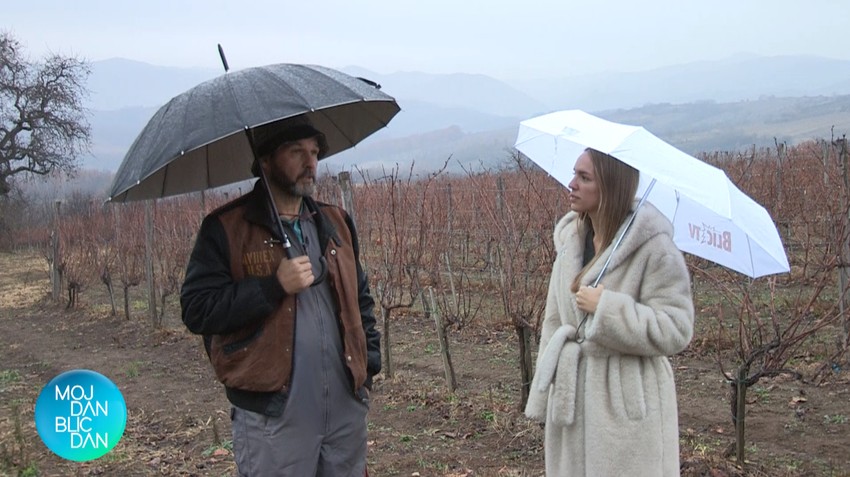 Aleksandar Srećković Kubura