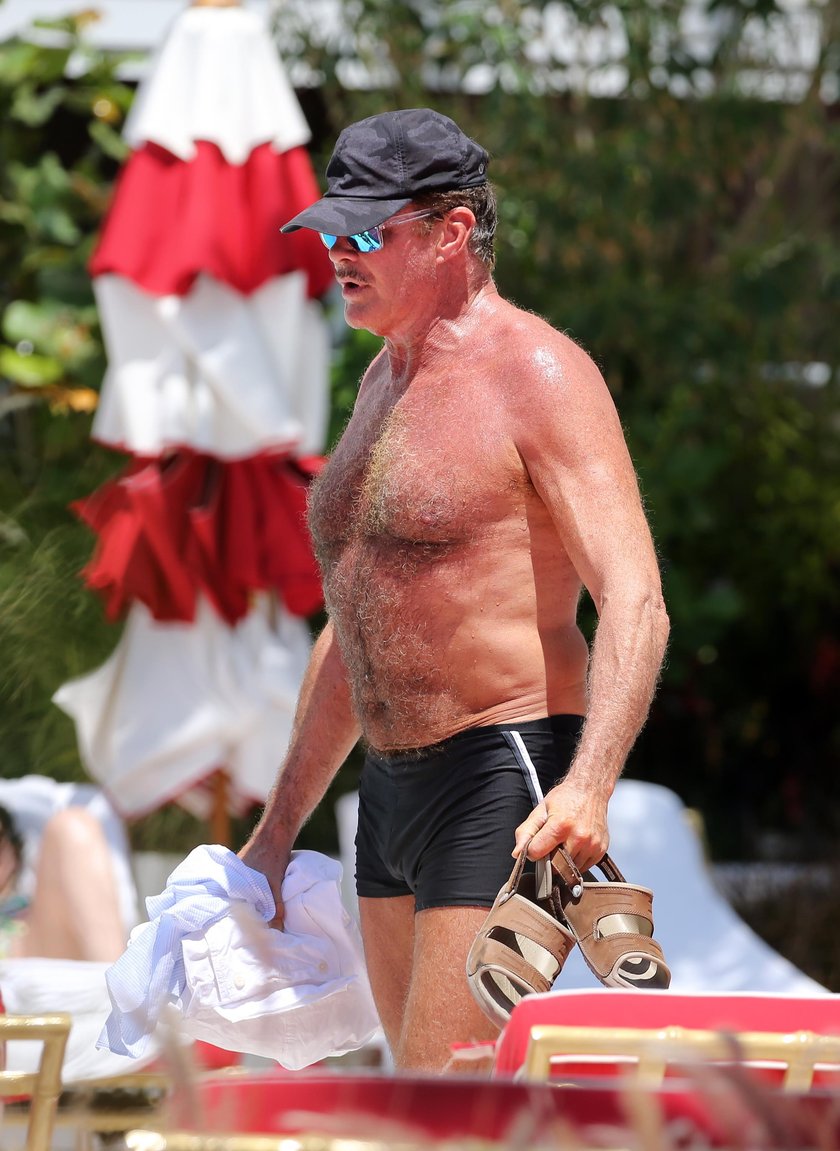 David Hasselhoff