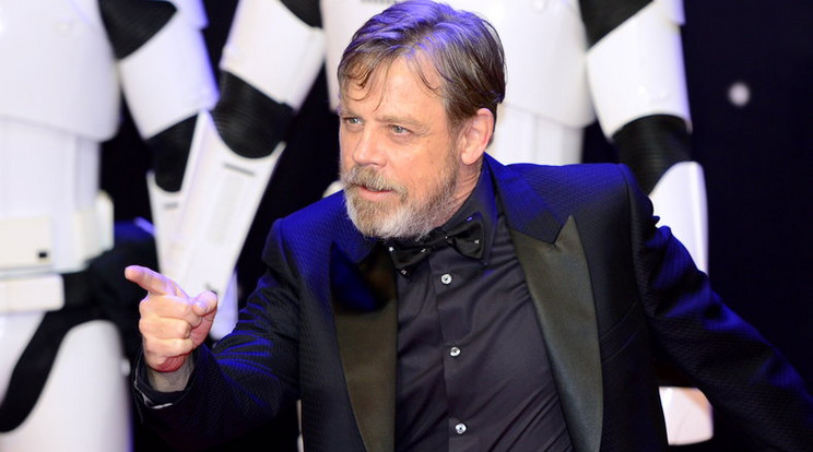 Luke Skywalker már nincs olyan jó formában  /Fotó: Northfoto