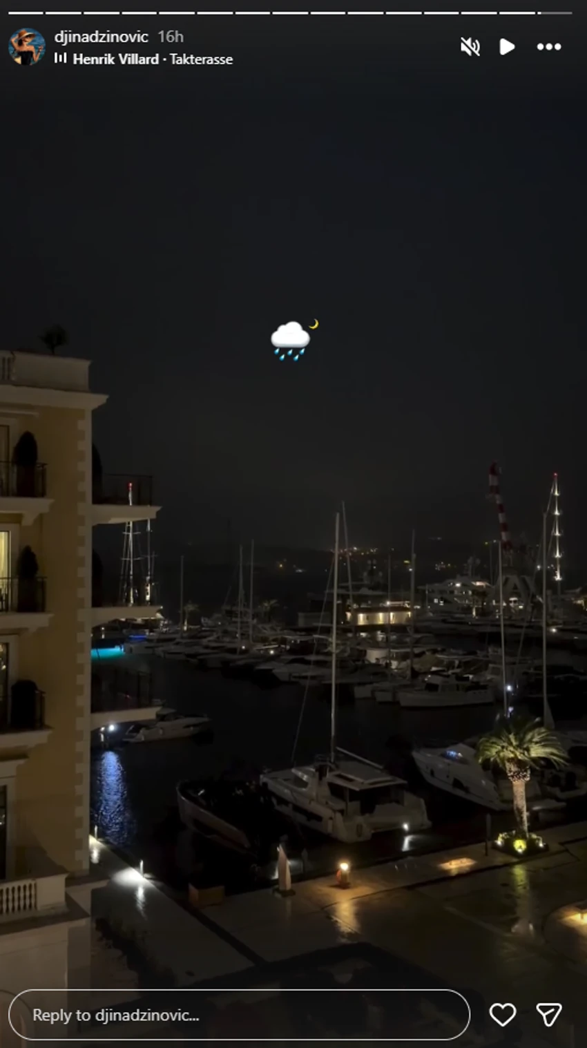 Đina Džinović, objava