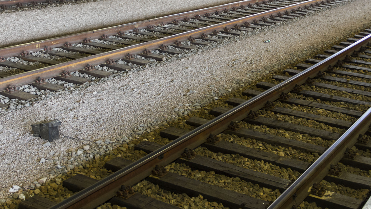 Niemiecka kolej Deutsche Bahn zamówiła w bydgoskim zakładzie Pesa 36 spalinowych zespołów trakcyjnych przeznaczonych dla komunikacji regionalnej w sieci Sauerland. Dziś podpisano w Berlinie kontrakt wart 120 mln euro - poinformowali kontrahenci.