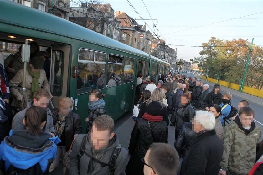 Urzędnicy będą badać tłok