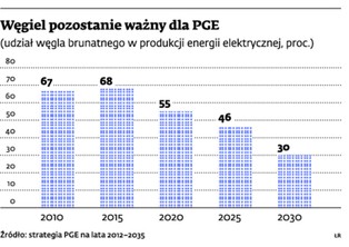 PGE wygrało z ekologami. Teraz obok RWE powalczy z UE