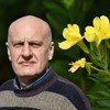 Žuti noćurak je biljka sa značajnim lekovitim svojstvima