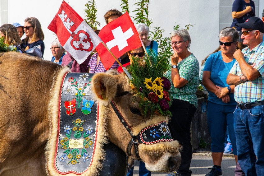 Švajcarska Nasleđe