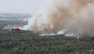 Deliblatska peščara