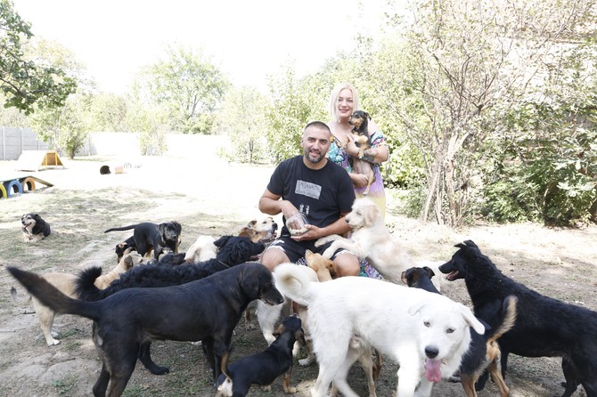 Život sa 28 pasa