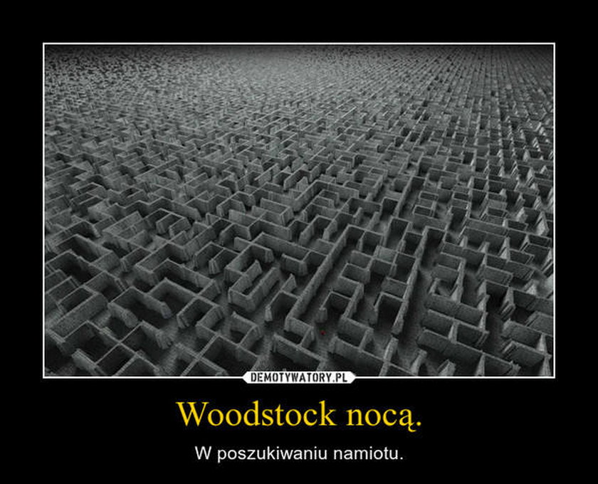 Memy z Woodstocku