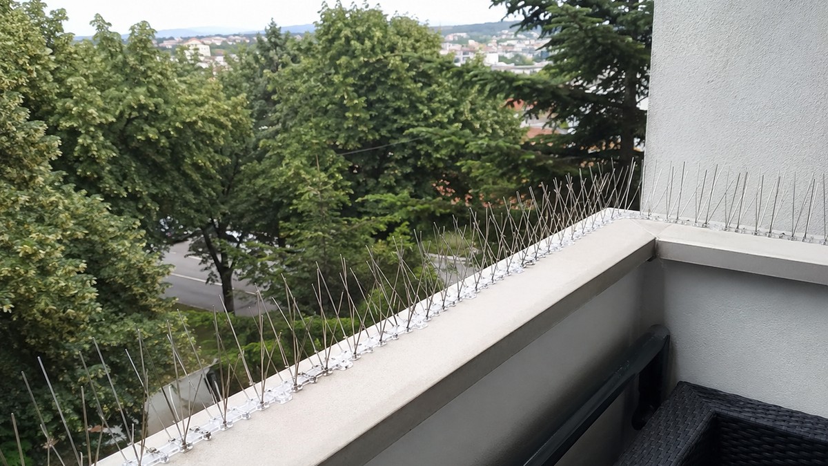 Zaštita od ptica na balkonu