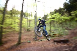 Dziki ryją pod mistrzostwami Europy w Szczawnie-Zdroju