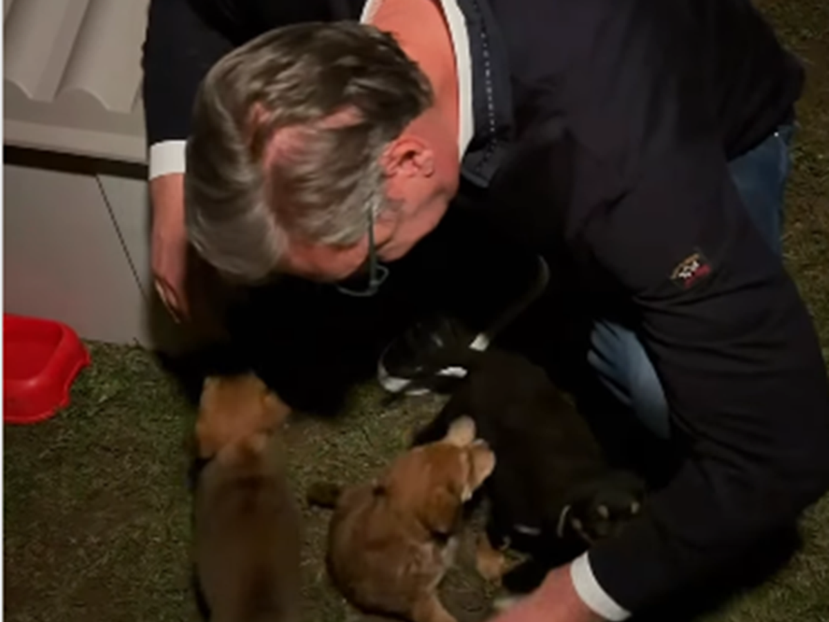 Vučić usvojio napuštene štence Maza, Lunja, Kika i Mićko osvojili njegovo srce