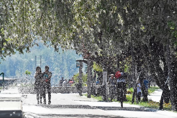 Ljudi u Srbiji idu ulicom i PLAČU: Ovo otežava svakodnevni život, a tek je počelo