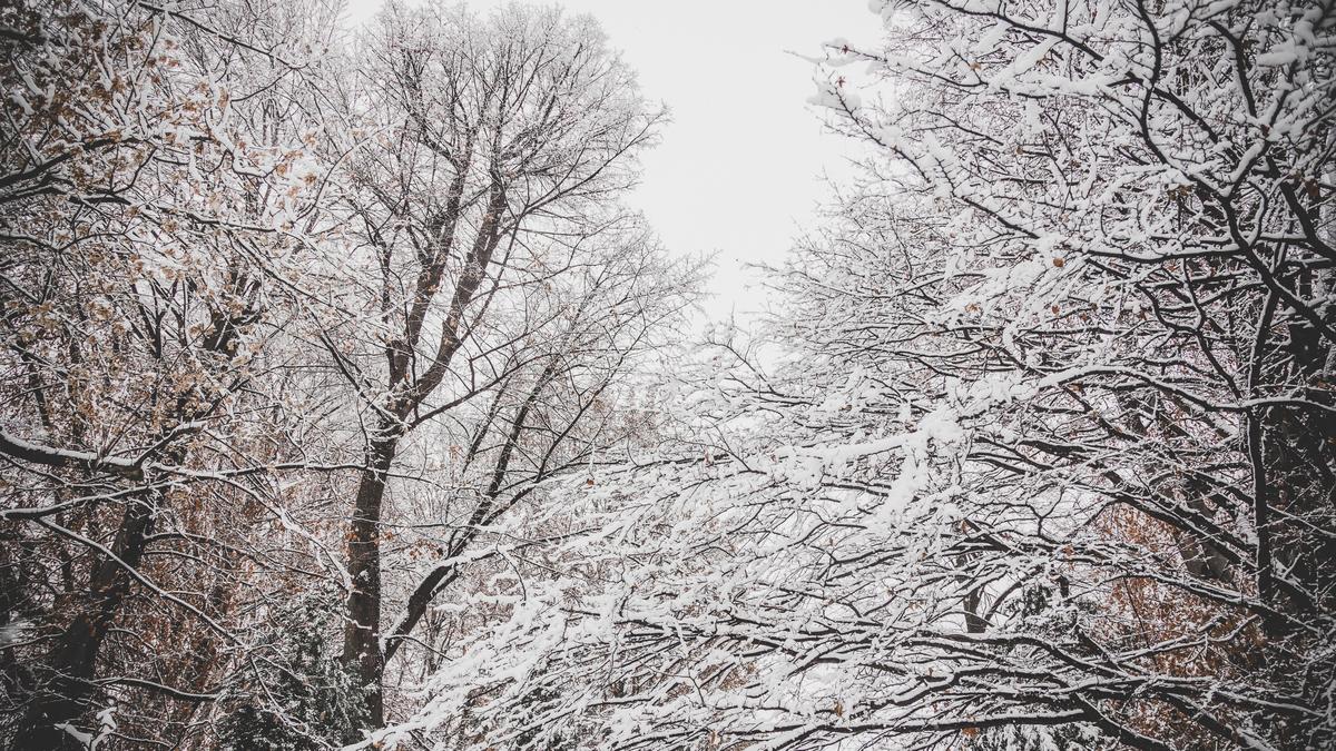 Szakad a hó az országban: több település is fehérbe borult – fotók