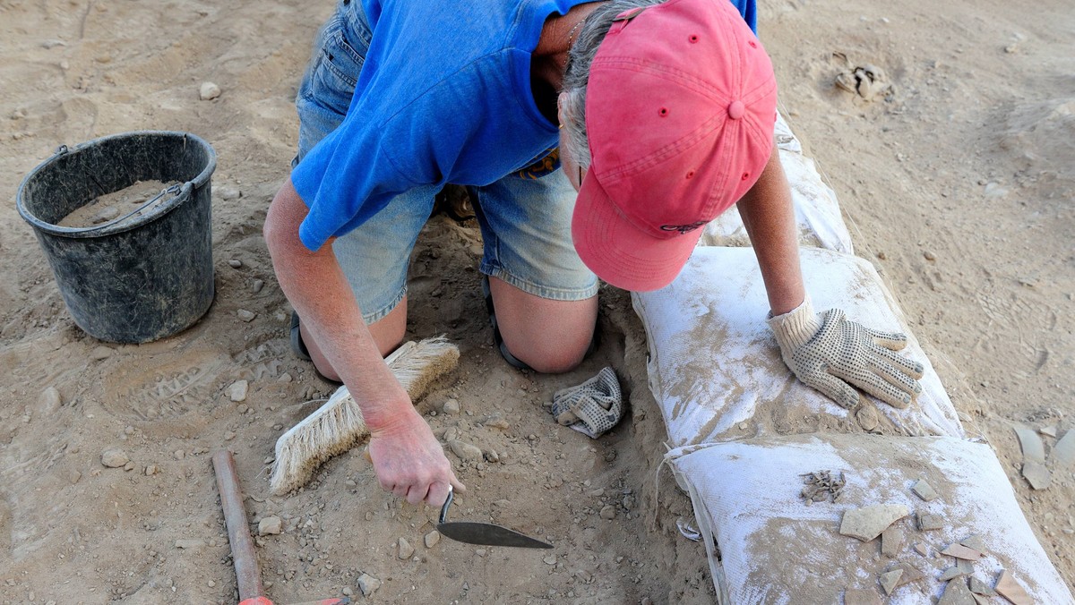 - Santok prawobrzeżny. Badania archeologiczne 2014–2015 - to nowa wystawa, którą od piątku (19 lutego) będzie można oglądać w Muzeum Lubuskim w Gorzowie Wlkp. Będzie ona okazją, by poznać dzieje osadnictwa w Santoku.