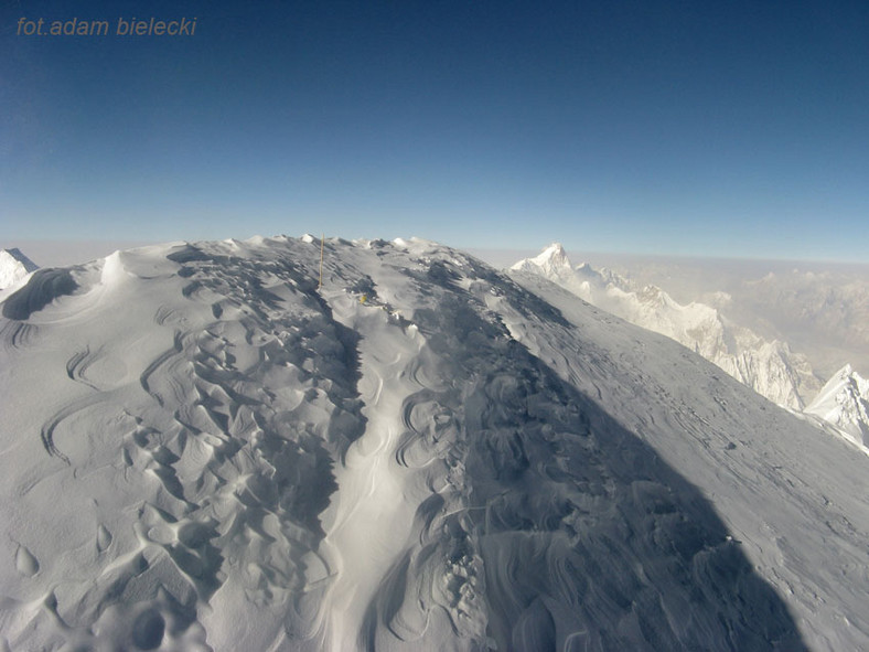 Gasherbrum I, wejście zimowe Polaków 2012, wierzchołek