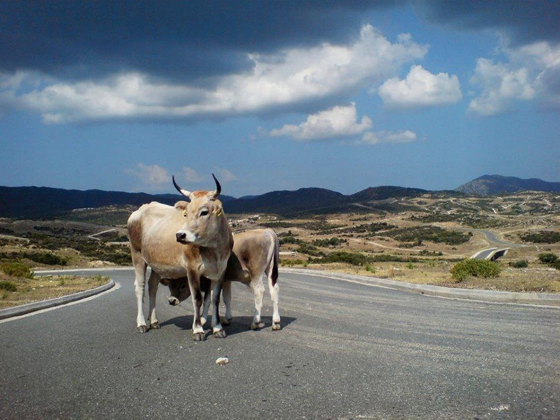 Urađena je kompletna infrastruktura, ali kuća i ljudi nema!