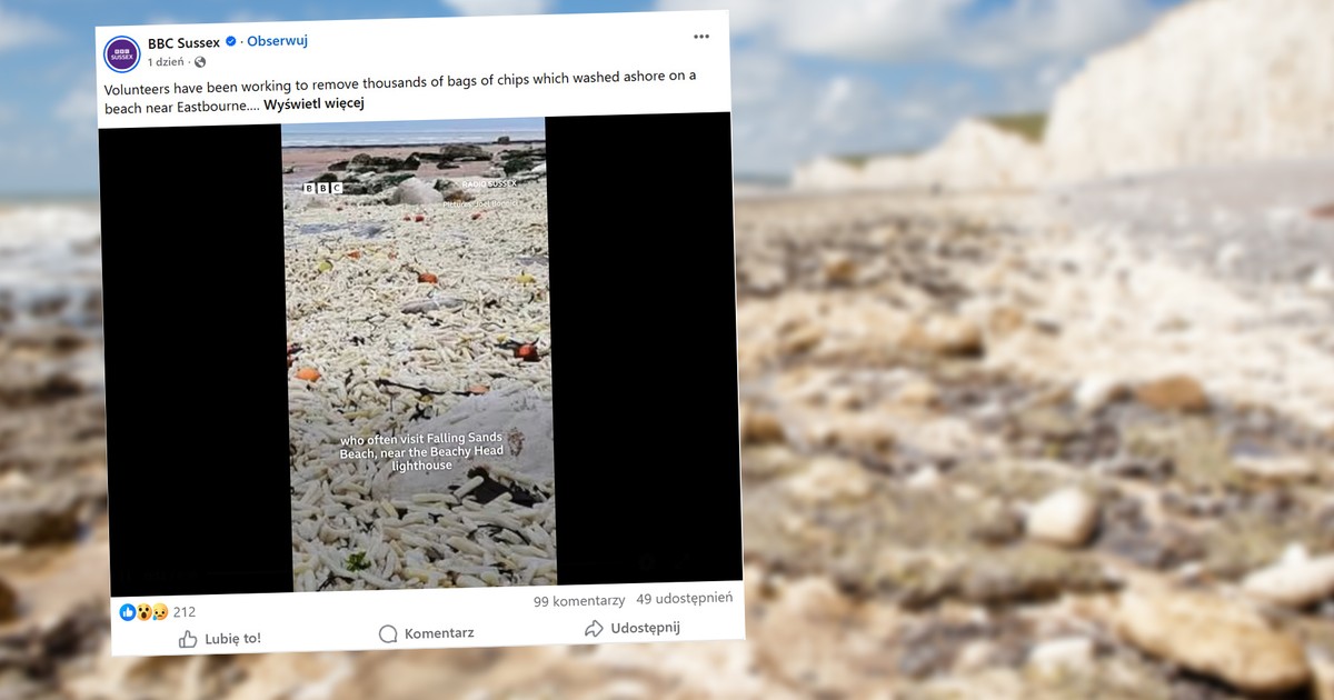 Nietypowe znalezisko na plaży. Istny dywan z... frytek i cebuli