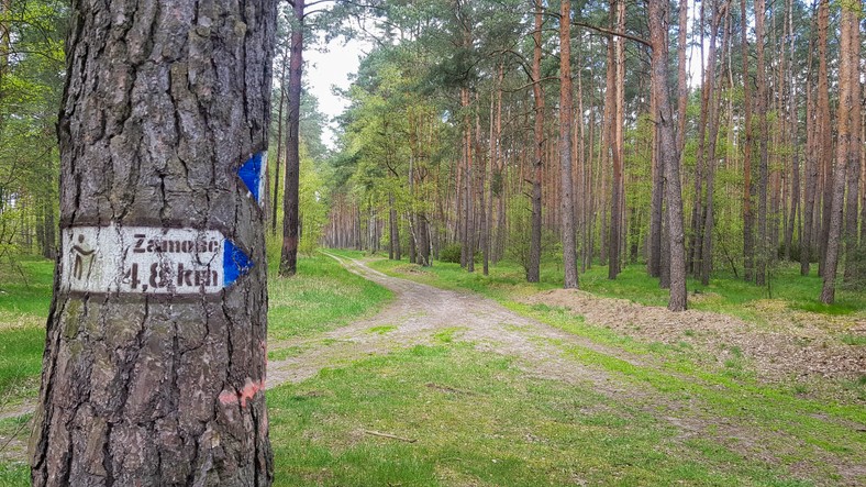 Zamość. Miejsce, gdzie znaleziono tajemniczy obiekt