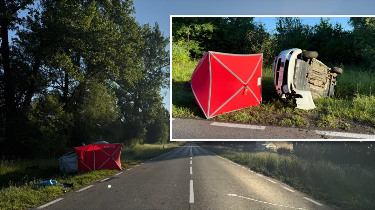 Jechał z rodzicami. Nagle dzik wbiegł pod auto. 