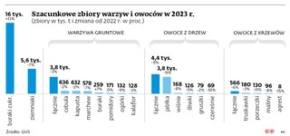 Szacunkowe zbiory warzyw i owoców w 2023 r.