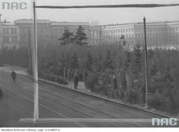 Przedwojenna Warszawa w Święta Bożego Narodzenia. Światełka, neony i tłum na targowiskach [GALERIA]