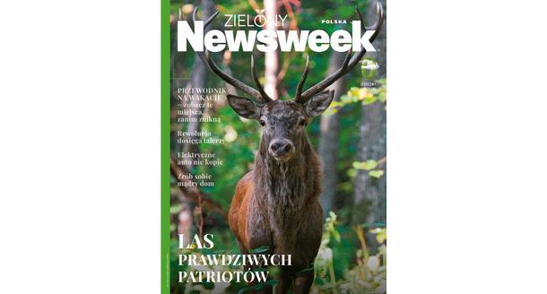 Zielony Newsweek