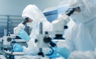 Dardziński: Zielony Ład jest czymś, na co czekamy