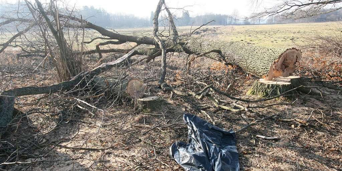 Rodzinna tragedia. Ojciec zabił syna. Niechcący