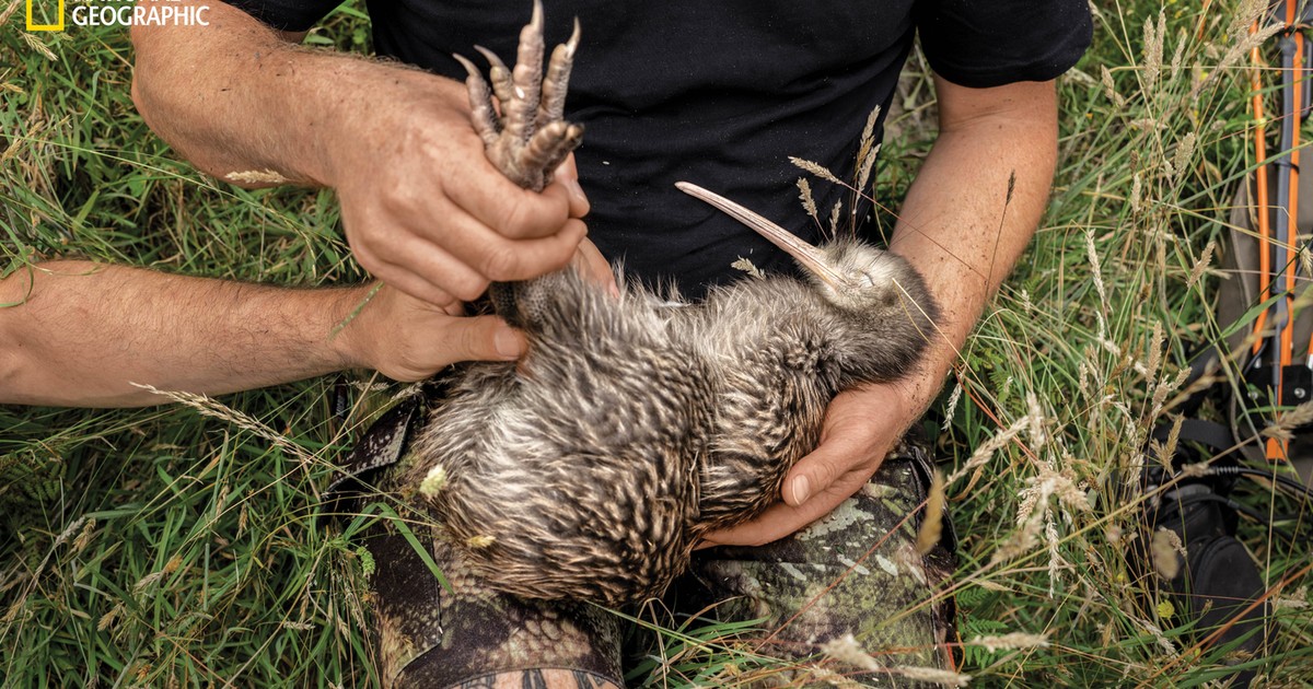 National Geographic presented Pictures of the Year.  Here are 7 of the most amazing wildlife photos