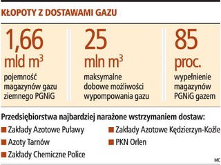 Wielkie firmy dostaną mniej gazu