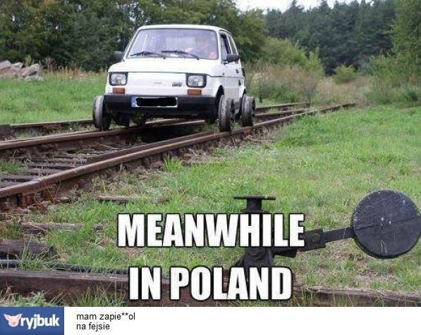 'Meanwhile in Poland'. Internet śmieje się z Polaków
