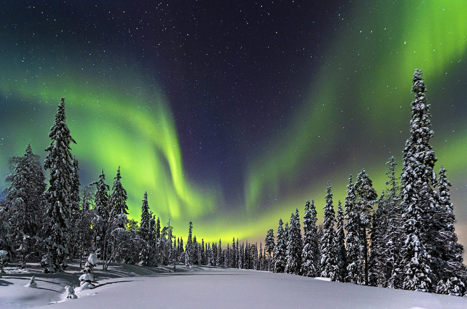 Forest lights (pol. Światła lasu) - Nicholas Roemmelt / 2014 National Geographic Traveler Contest