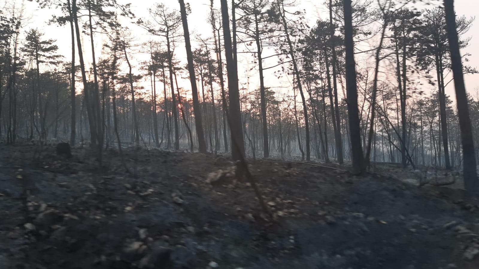 Slovenskí hasiči dorazili do Slovinska.
